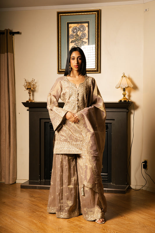 Sharara Set with Zari Handwork (Pakistani Sleeves)