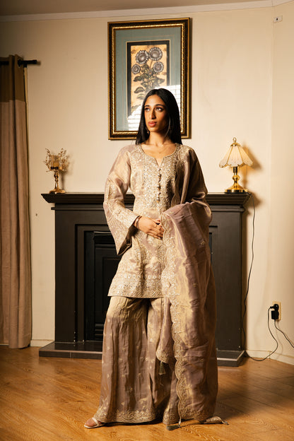 Sharara Set with Zari Handwork (Pakistani Sleeves)