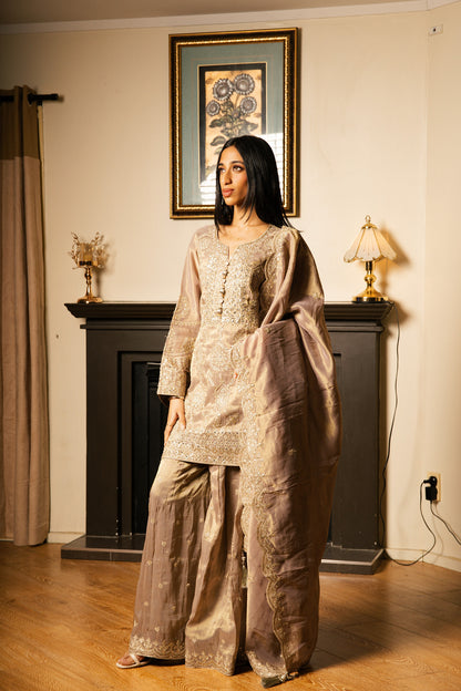 Sharara Set with Zari Handwork (Pakistani Sleeves)