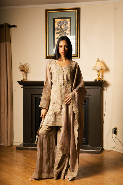 Sharara Set with Zari Handwork (Pakistani Sleeves)
