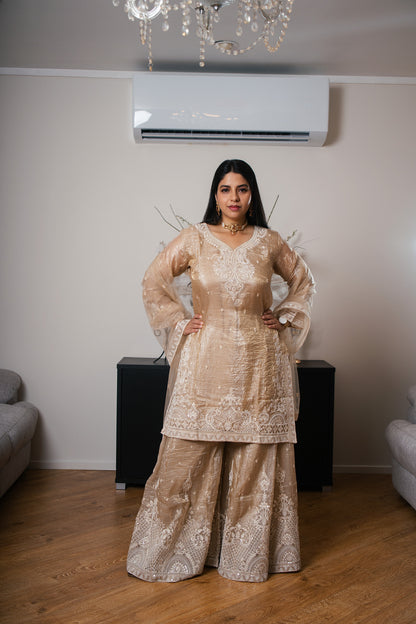 Shimmer Tissue Sharara Set with Heavy Thread Work
