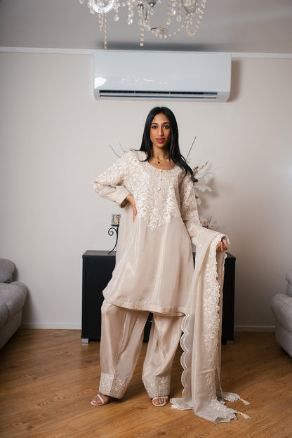 Tissue Organza A-line Suit with Kashmiri Dori Work