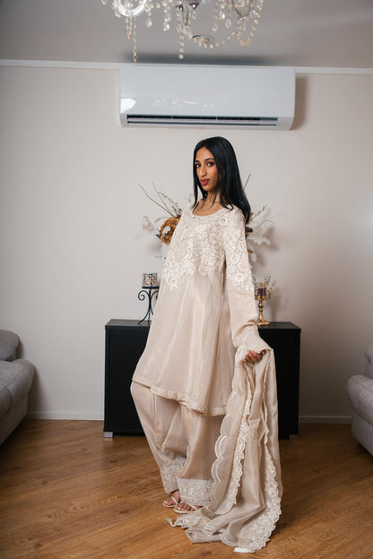Tissue Organza A-line Suit with Kashmiri Dori Work
